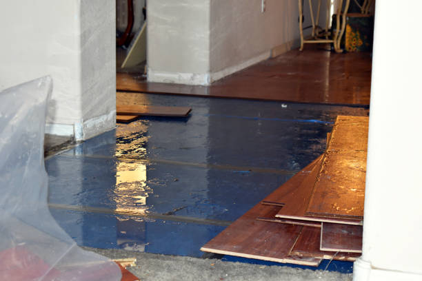 Professional Sewage Cleanup technician working in Hales Corners, WI